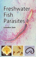 Freshwater Fish Parasites Freshwater Fish Parasites