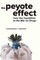 The Peyote Effect