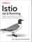 Istio: Up and Running