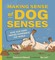 Making Sense of Dog Senses