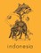 Indonesia Journal