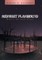 Midnight Playground