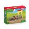 SCHLEICH FARM WORLD Zirga novietne ar Islandes šķirnes ērzeli