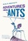 Adventures among Ants