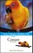 Conure