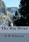 The Big Otter