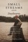 Small Streams and Daydreams