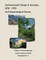 Environmental Change in Aravaipa, 1870-1970