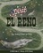 The Spirit of El Reno