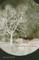 Alain Badiou