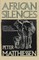 African Silences