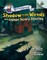 Shadow in the Woods and Other Scary Stories: An Acorn Book (Mister Shivers #2)