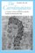 The Carolingians