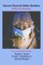Doctor Poets & Other Healers