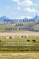 VANISHED KHANS AND EMPTY STEPPES A HISTORY OF KAZAKHSTAN From Pre-History to Post-Independence