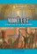 Middle East Conflicts & Reforms