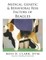 Medical, Genetic & Behavioral Risk Factors of Beagles