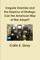 Irregular Enemies and the Essence of Strategy