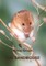 The Sandmouse