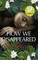 How We Disappeared