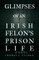 Glimpses of an Irish Felon's Prison Life