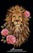 Lioness