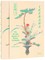 Ikebana