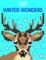 Color Quest: Winter Wonders
