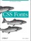 CSS Fonts
