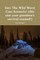 Into the Wild Worst Case Scenario! (this aint your grandma's survival manual!)