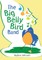 The Big Belly Bird Band