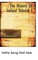The History of Ireland Volume I