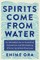 Spirits Come from Water