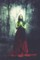 Witch in the Forest Lab Book