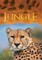We Live in a Jungle