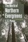 The World of Northern Evergreens