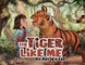 The Tiger Like Me