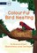 Colourful Bird Nesting