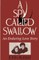 A Spy Called Swallow