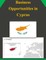 Business Opportunities in Cyprus