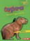 Capybaras