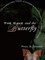 The Cave and the Butterfly