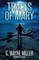 Traces of Mary