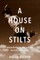A House on Stilts