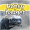 Honey Badger