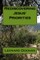 Rediscovering Jesus' Priorities