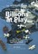 Billions at Play