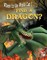 Find a Dragon?