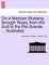 On a Mexican Mustang through Texas, from the Gulf to the Rio Grande. ... Illustrated.