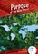 Purpose of the Rain Forest